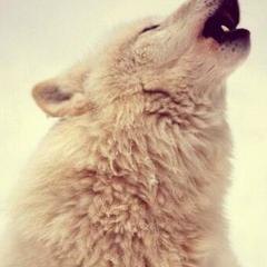 Линда Тарамова