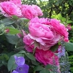 Ирина Ефимова, 30.04, Чебоксары