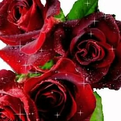 Алиса Чупа, 15.02.1977, Бородянка