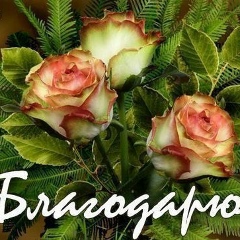 Gulchekra Savytova, Алматы