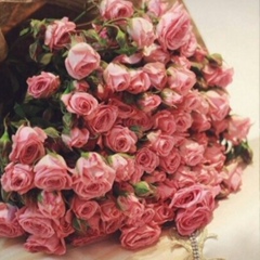 Dana Ongarova, 12.09, Алматы