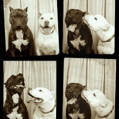 Милош Рашич, 20.02, Москва