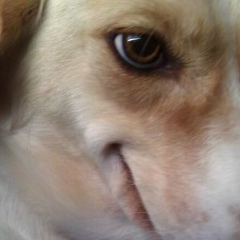 Maria Peretrukhina, 28.02, Харьков