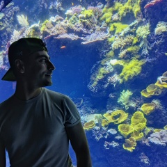 Aram Avetisyan, Nice
