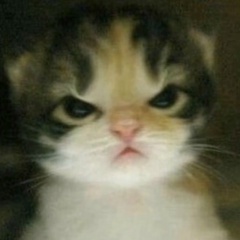 Владимир Мошев, 05.02.2000