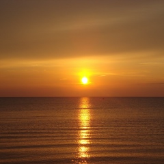 Дмитрий Лапин, 09.05.1986, Санкт-Петербург