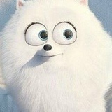 Надежда Садовая, 17.04, Запорожье