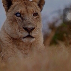 Руслан Гусейнов, 27.10, Москва