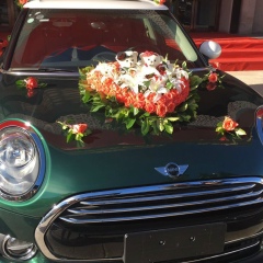 Алина Дьячковская, 23.11, Heihe