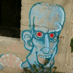 Дмитрий Ефимов, Санкт-Петербург