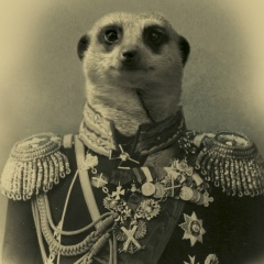 Артем Ермаков, 23.07.1986, Санкт-Петербург