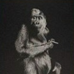 Алмаз Абзалов, 21.05.1986, Казань