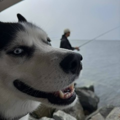 Тимур Шуваев, 21.03, Москва