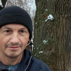 Алексей Казьмин, Шарашенский