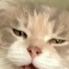 Дмитрий Шмыров, 31.07.1984, Санкт-Петербург