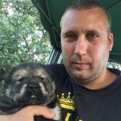 Владимир Степанов, Санкт-Петербург