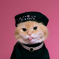 Галина Фахрутдинова, Тобольск