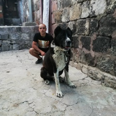 Varik Vardanyn, 15.06