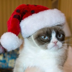 Митя Козаков, 18.05.1990, Санкт-Петербург