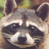 Маша Yamaha, 12.10.1986, Минск