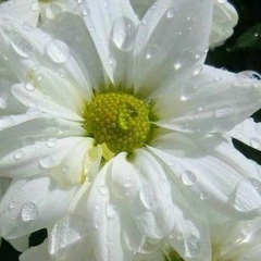 Людмила Грицюк, 18.07, Warszawa