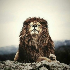 Мэлс Нуржанов, 21.06, Алматы