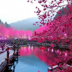 Гульмира Жургабаева, 22.12