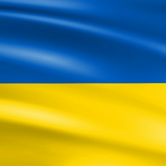 Ярик Малевич, Сумы