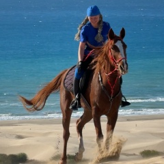 Наталья Елисеева, Москва
