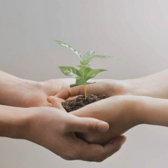 Эльвира Фаткуллина