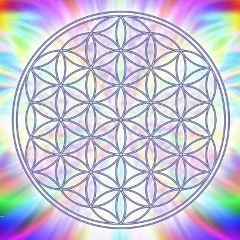 Людмила Голикова