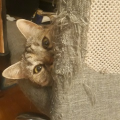 Антон Шишкунов, 26.02.1989, Ростов-на-Дону