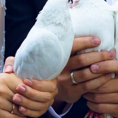 Gulsezim Myrzalina, 18.11.1990, Алматы