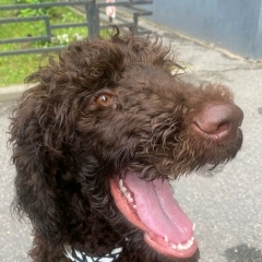 Роман Нарушин, 23.07.1983, Санкт-Петербург