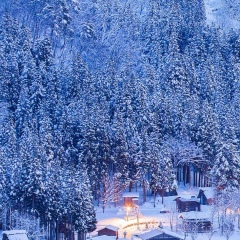 Светлана Светланова, 05.10, Санкт-Петербург