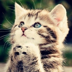 Куралай Жуманова, 27.12.1998, Шымкент