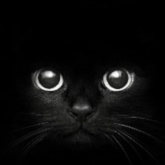 Артур Федоров, 26.05, Уфа