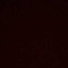 Алина Золотарёва, Омск