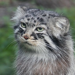 Егор Ильин, 13.11