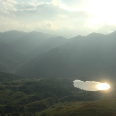 Махран Дадашов, 01.11.1982, Грозный