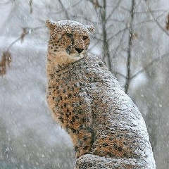 Сергей Михай, Мариуполь