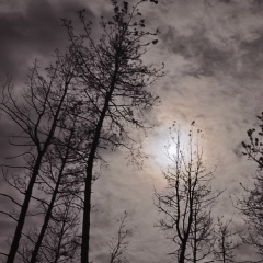 Михаил Черноусов, 30.05, Тверь