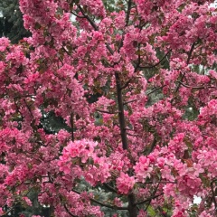 Мария Адаева, 07.01, Санкт-Петербург