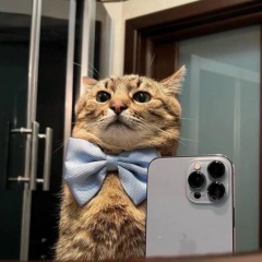 Magomed Guchigov, 09.11.1990, Москва