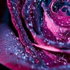 Ольга Веляник, 23.07.1983