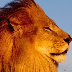 Усам Арсанукаев, 14.02.1991, Москва