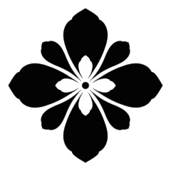 Сергей Анучин, Shanghai