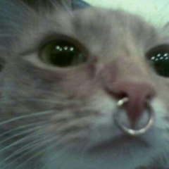 Larissa Maria, 05.03.1995, Curitiba