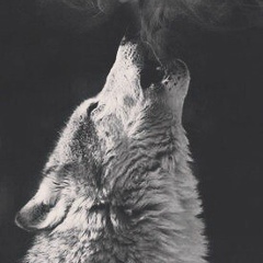 Илья Рахматулин, 17.07.1989, Москва