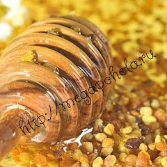 Любовь Глуховская, 11.10, Санкт-Петербург